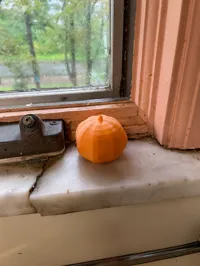 Citrouille décorative — photo 1