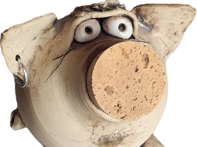 Punk pig