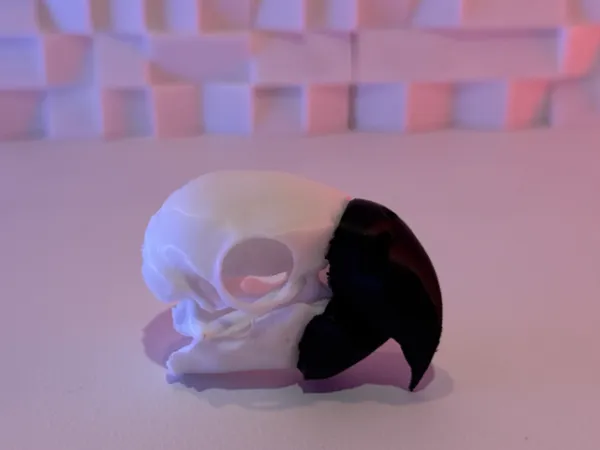 https://makerworld.bblmw.com/makerworld/model/US9cf30f4a8b9861/design/2025-07-07_f290fd088ceb.jpeg