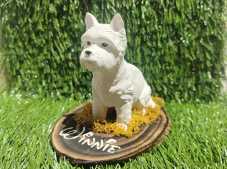 West Highland Terrier