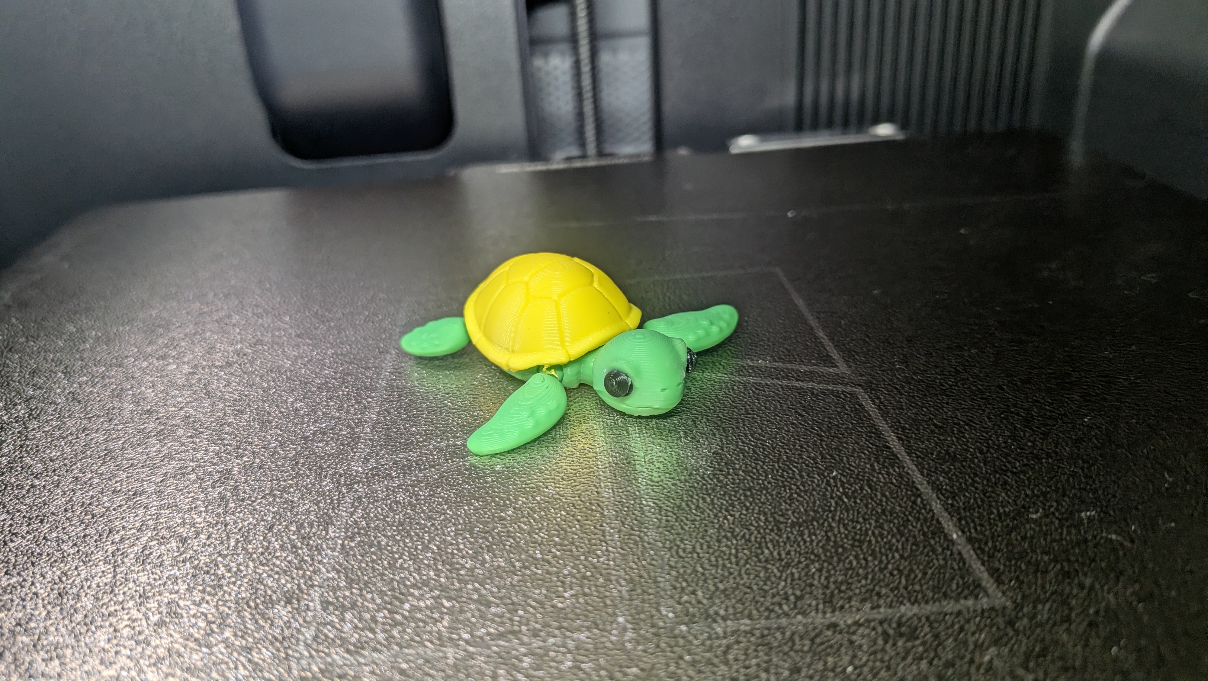Miniatura 3 do modelo 3D Flexible Turtle