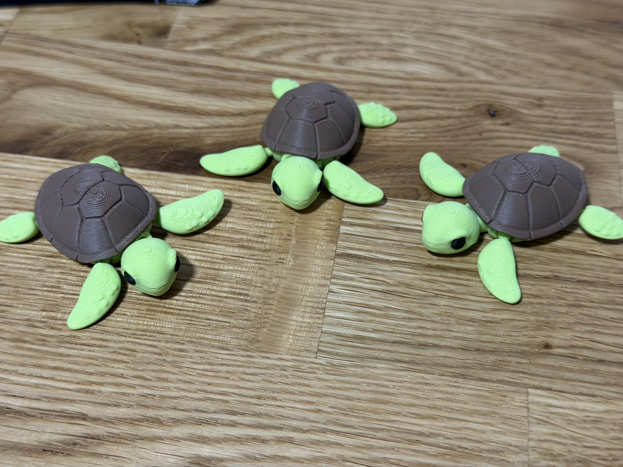 Miniatura 6 do modelo 3D Flexible Turtle