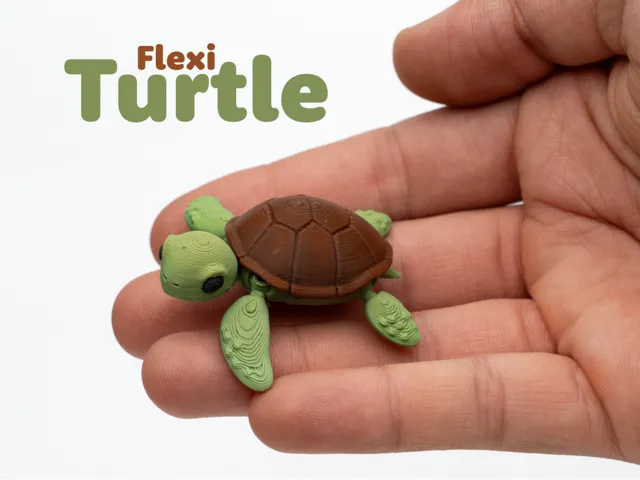 Flexible Turtle