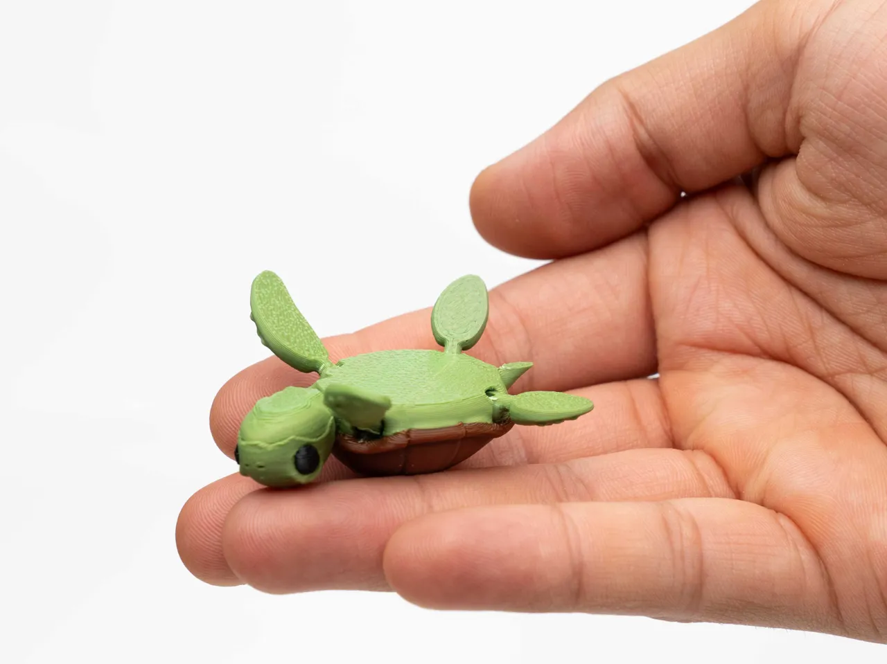 Flexible Turtle view 2