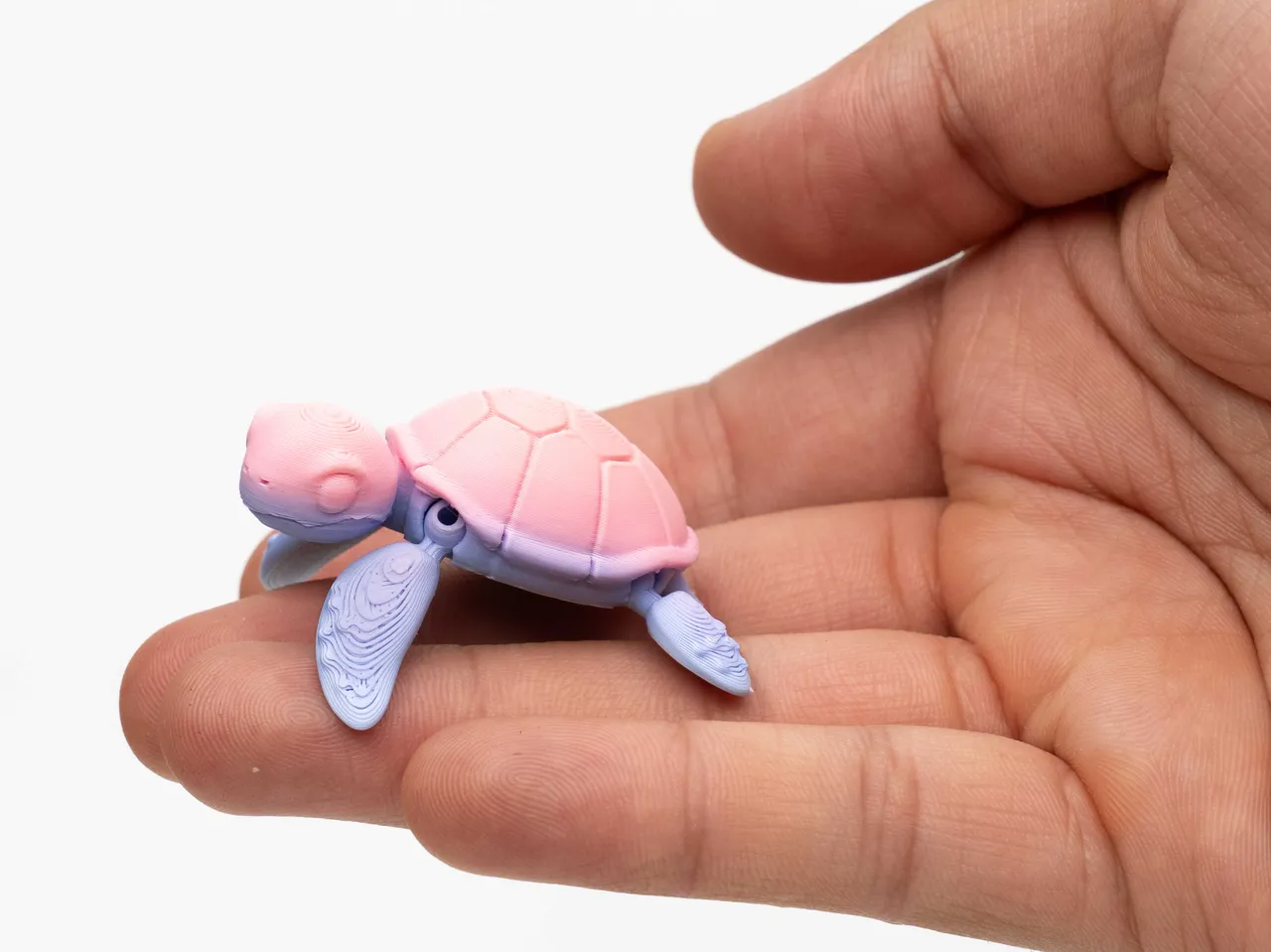Flexible Turtle view 3