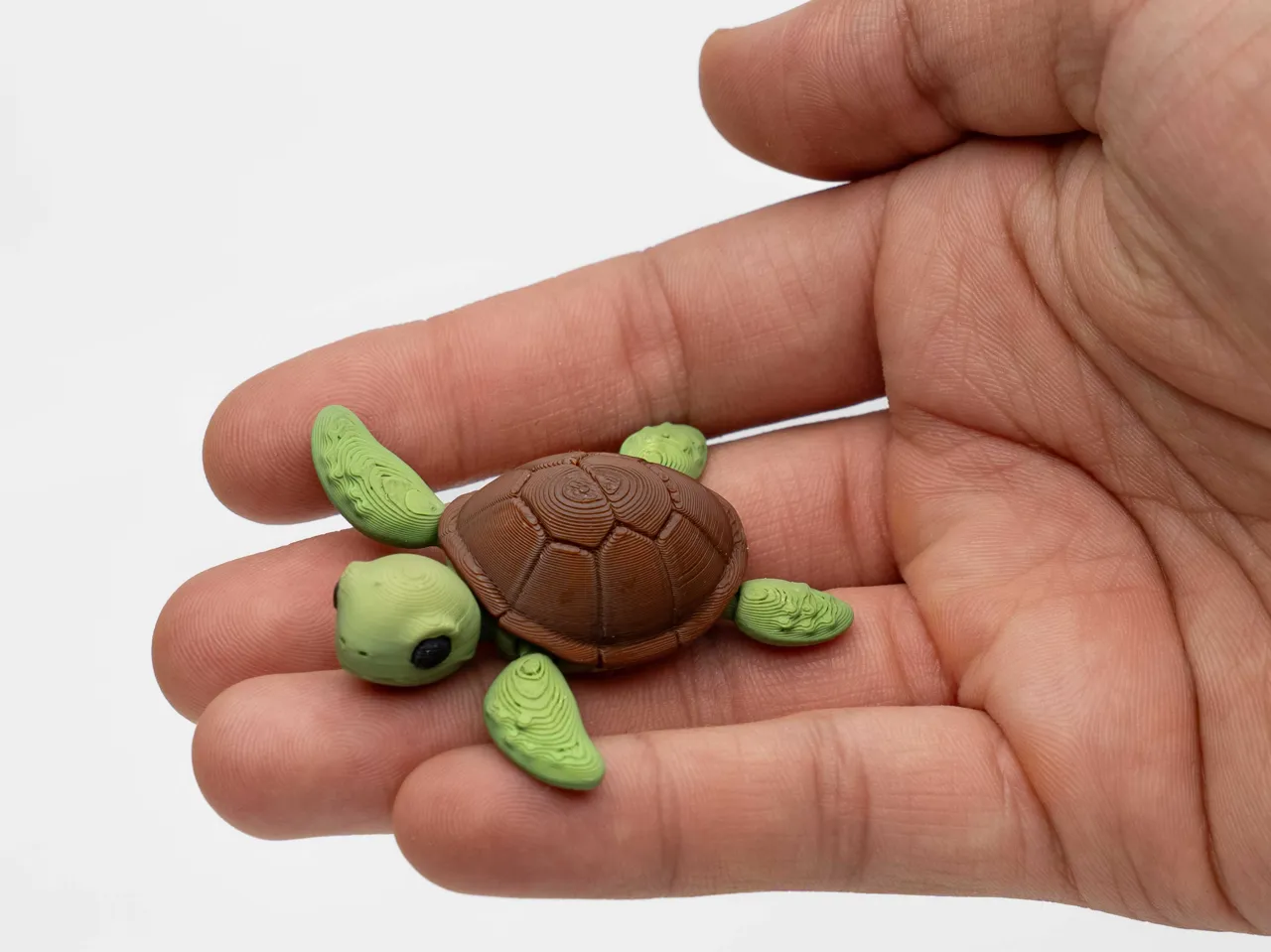 Flexible Turtle view 4