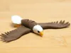 Eagle Multicolor