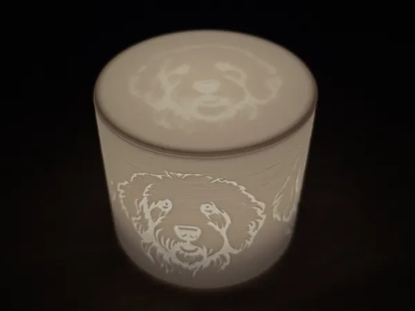 https://makerworld.bblmw.com/makerworld/model/US9d0359f6c61d74/design/2025-07-04_c536783bfb3cc8.jpg