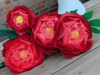 Peony small