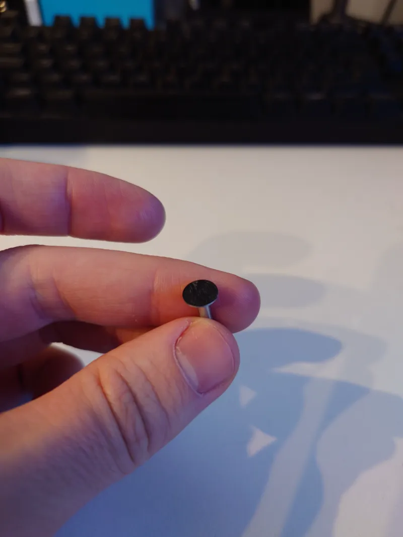 Wood Screw Cover