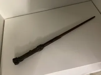 Harry potters wand