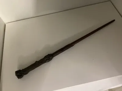 Harry potters wand