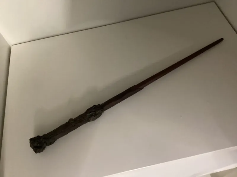 Harry potters wand