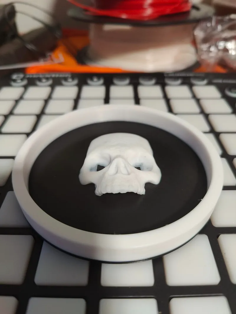 SkullCoaster