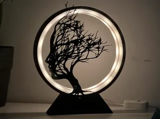 Ring lamp: resolution of doubts