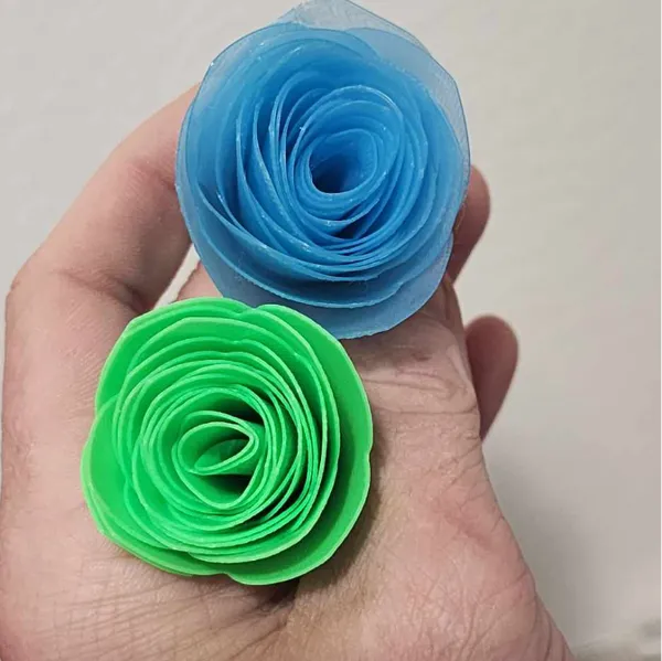 https://makerworld.bblmw.com/makerworld/model/US9d081dbdf1f47b/design/2024-05-22_772d82062d388.jpg