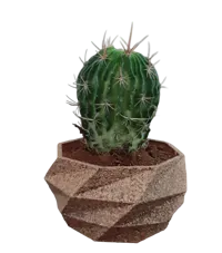 Pot low poly pour cactus — photo 2