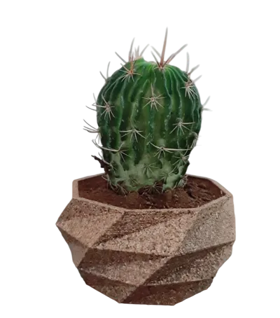 Poly Planter