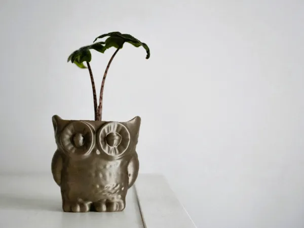 https://makerworld.bblmw.com/makerworld/model/US9d0b3fd760040d/design/2025-04-07_63be0f434b369.jpg