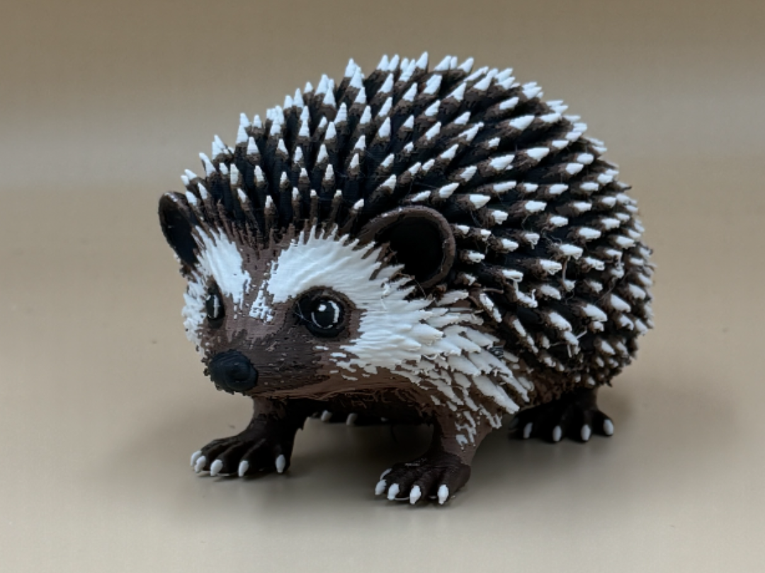 Spiky Little Hedgehog - 1