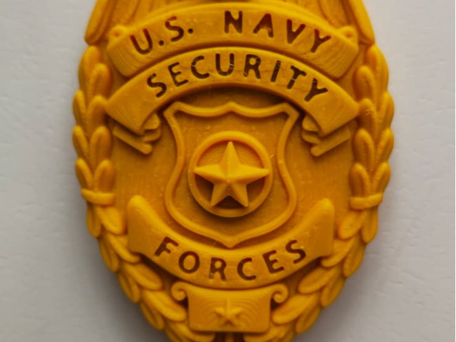 Mater at Arms Badge 