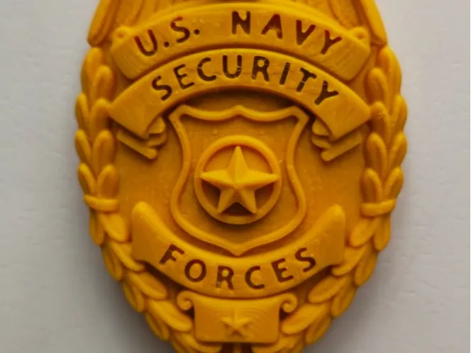Mater at Arms Badge 