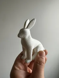 FUZZY SKIN 0.16mm layer, 2 walls, 15% infill
