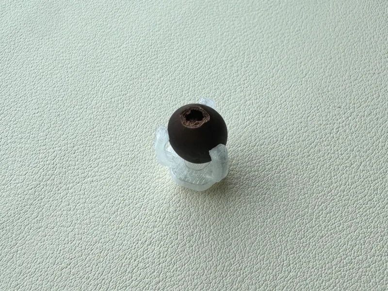 荷花种子固定
