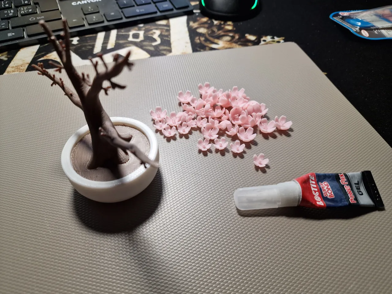 Sakura Bonsai – Realistic Blossom - Spring cherry view 3
