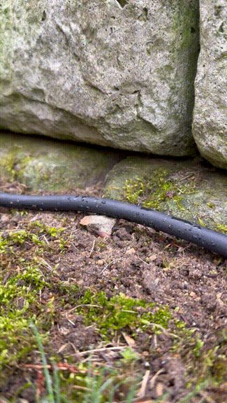 Extension Cord/Cable Yard Spike/Stake
