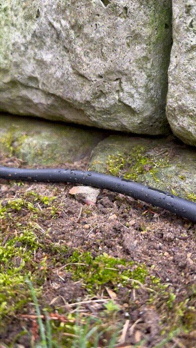 Extension Cord/Cable Yard Spike/Stake
