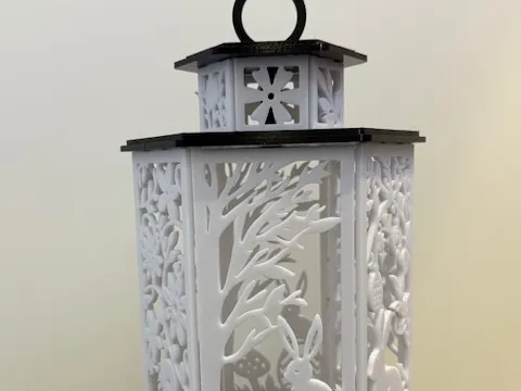 https://makerworld.bblmw.com/makerworld/model/US9d1991c8b18e6d/design/2025-03-02_307509599e911.jpeg