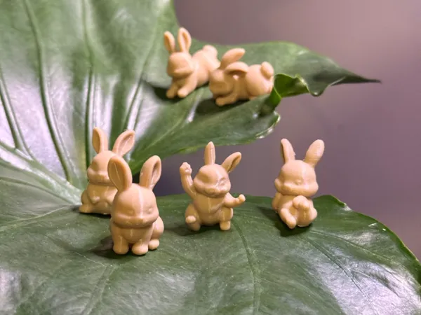 https://makerworld.bblmw.com/makerworld/model/US9d1992c6d5a188/design/2025-03-27_4cd8225db0493.jpg