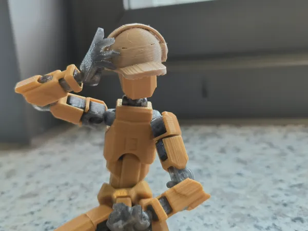 https://makerworld.bblmw.com/makerworld/model/US9d2226be7c15f1/design/2024-05-23_68150ceffe794.jpg