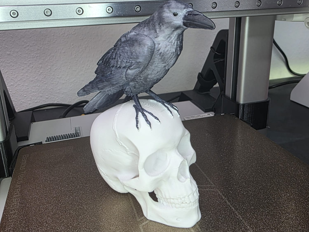 Raven on Skull – Gothic Decor