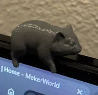 0.2mm layer, 3 walls, 4% infill