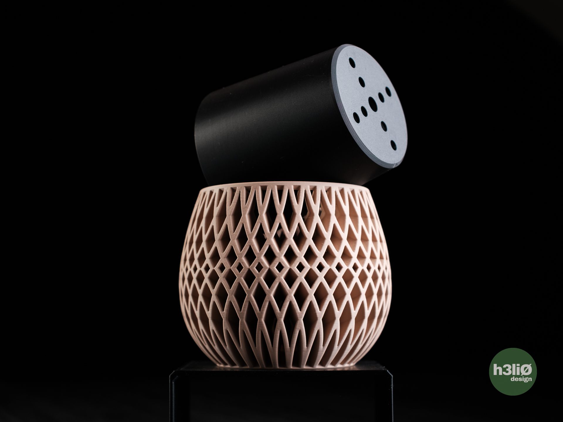 Miniatura 1 do modelo 3D maia • planter