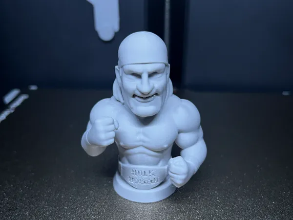 https://makerworld.bblmw.com/makerworld/model/US9d2d9f32735312/design/2025-07-24_d3f3ed44785a48.jpg