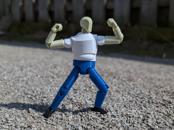 https://makerworld.bblmw.com/makerworld/model/US9d3159f41b0486/design/2025-04-23_0f02014541a63.jpg