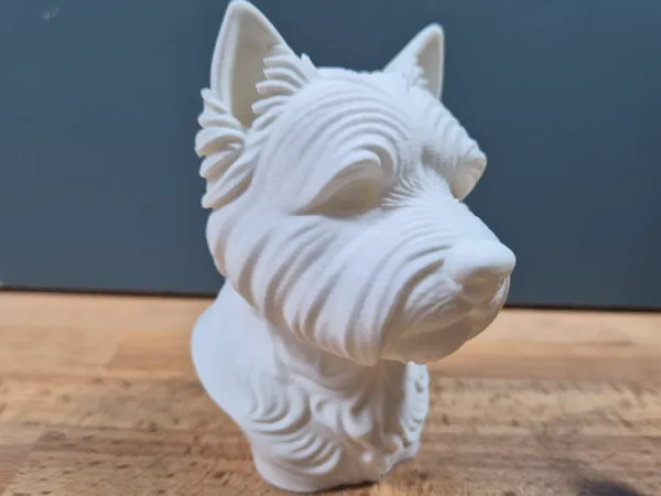 https://makerworld.bblmw.com/makerworld/model/US9d33f485a22e87/design/2025-05-16_3357052083ba8.jpg