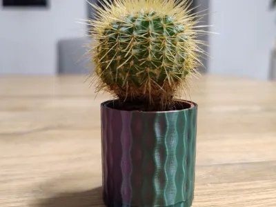 Decorative cactus cover
