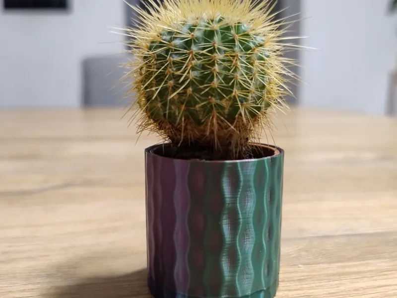 Decorative cactus cover