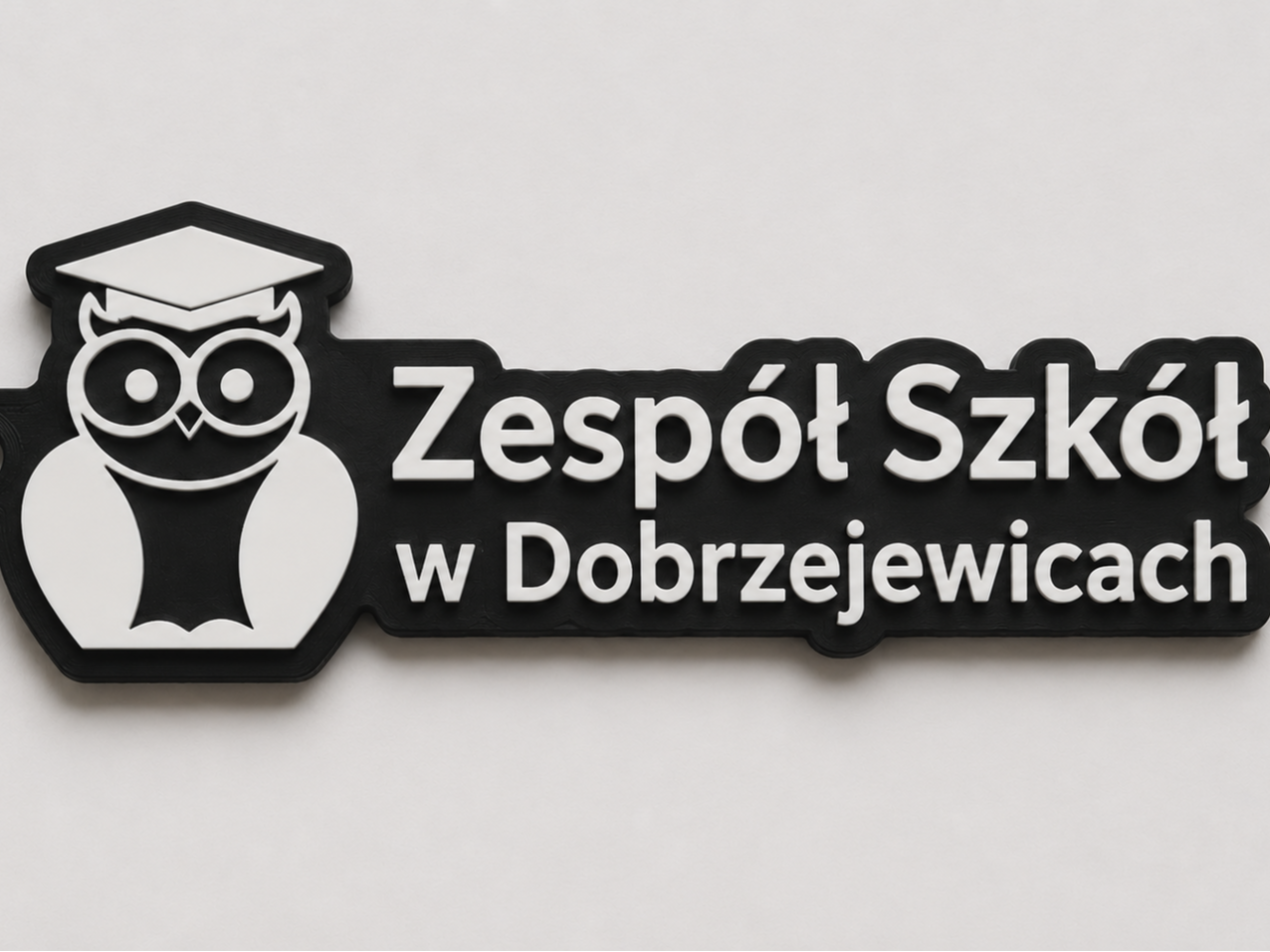 Zespół Szkół w Dobrzejewicach