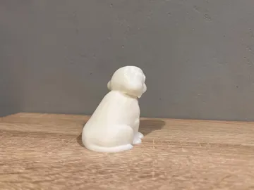 Modelo para impresión 3D: Shih-Tzu - Puppy - Dog — vista de referencia 5