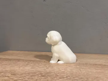 Modelo para impresión 3D: Shih-Tzu - Puppy - Dog — vista de referencia 3
