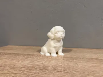 Modelo para impresión 3D: Shih-Tzu - Puppy - Dog — vista de referencia 4