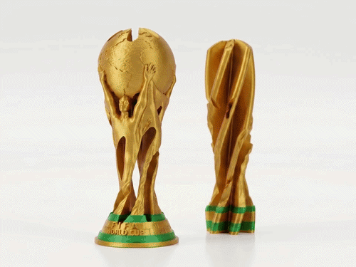 trophy fidget toy