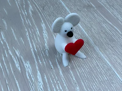 Animal with heart