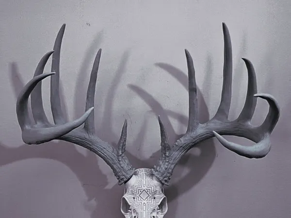 https://makerworld.bblmw.com/makerworld/model/US9d3cd75c6d218e/design/2025-12-25_17b070fda28ee.jpg