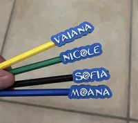Moana Pen Example